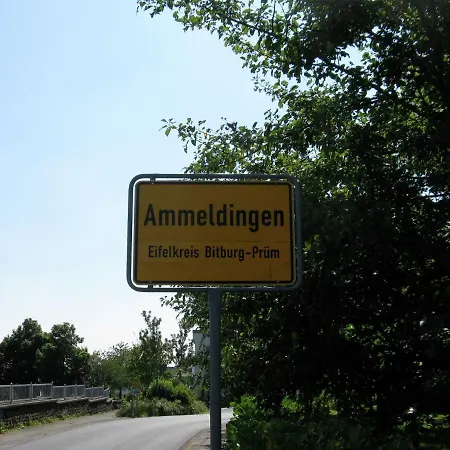 Holiday home Large Group House Beautifully Located In Eifel Ammeldingen bei Neuerburg